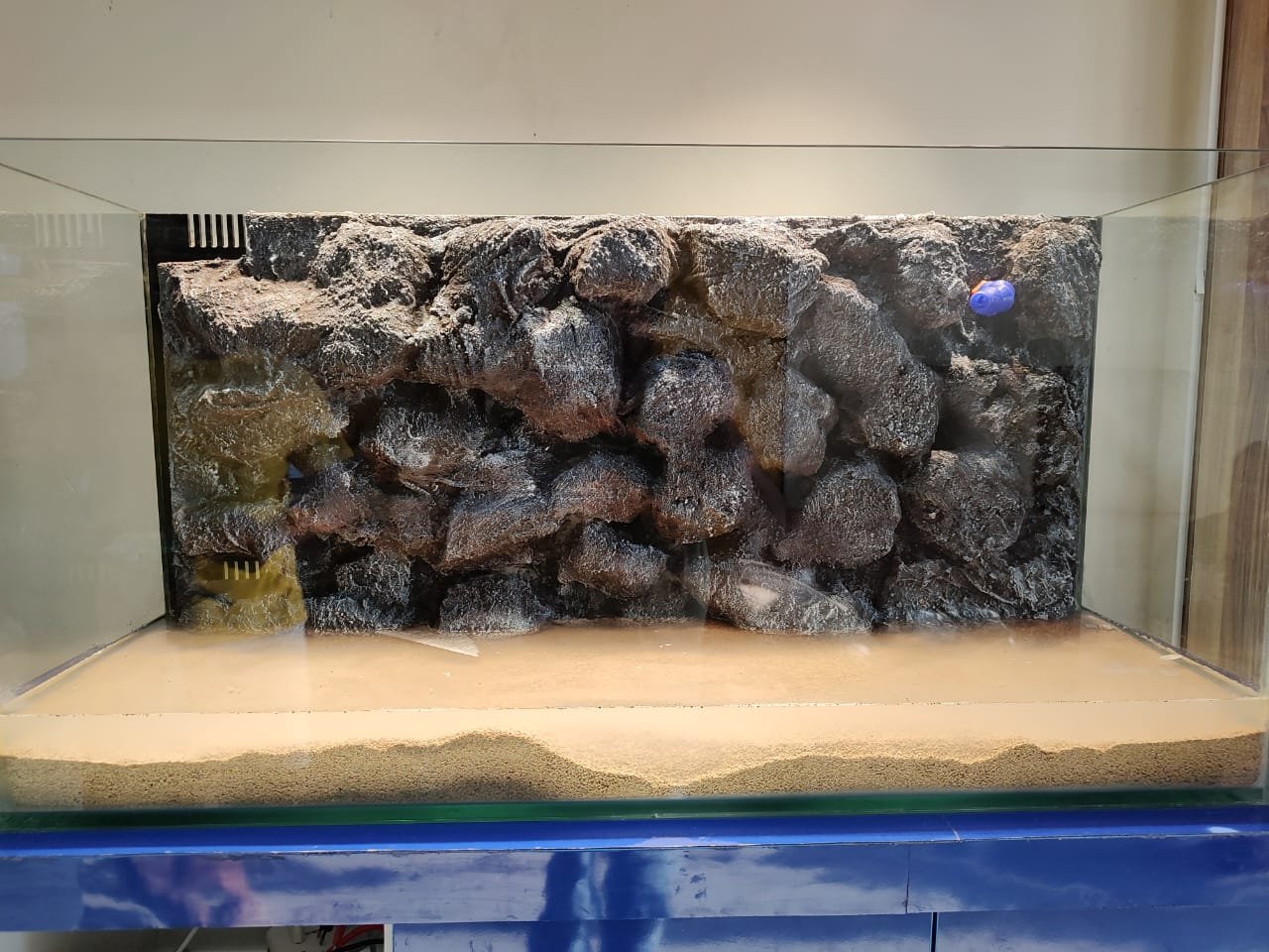 3D Aquarium Background