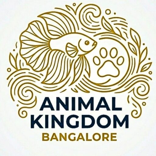 animal-kingdom-bangalore-logo